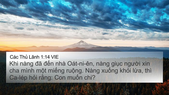 Các Thủ Lãnh 1:14 VIE Bible Verse Image