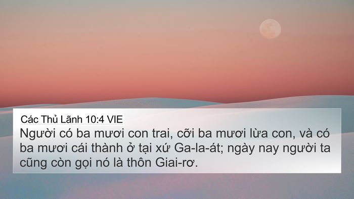 Các Thủ Lãnh 10:4 VIE Bible Verse Image