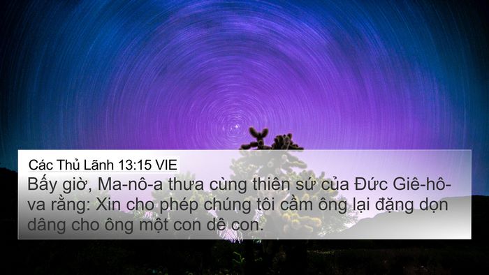 Các Thủ Lãnh 13:15 VIE Bible Verse Image