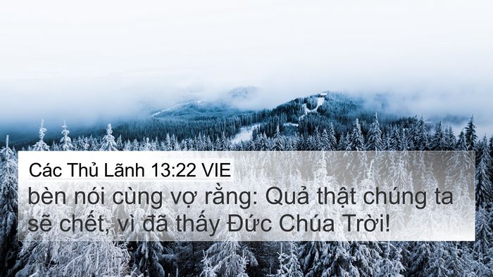 Các Thủ Lãnh 13:22 VIE Bible Verse Image
