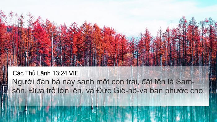 Các Thủ Lãnh 13:24 VIE Bible Verse Image