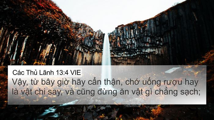 Các Thủ Lãnh 13:4 VIE Bible Verse Image