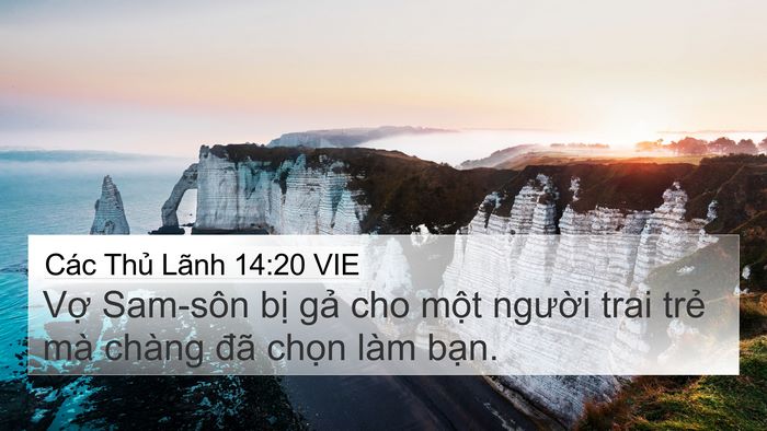 Các Thủ Lãnh 14:20 VIE Bible Verse Image