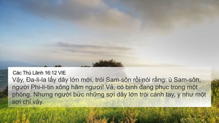 Các Thủ Lãnh 16:12 VIE Bible Verse Image