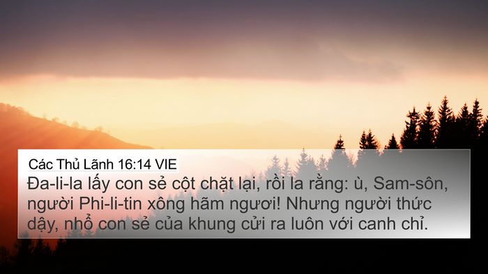 Các Thủ Lãnh 16:14 VIE Bible Verse Image