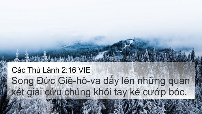 Các Thủ Lãnh 2:16 VIE Bible Verse Image