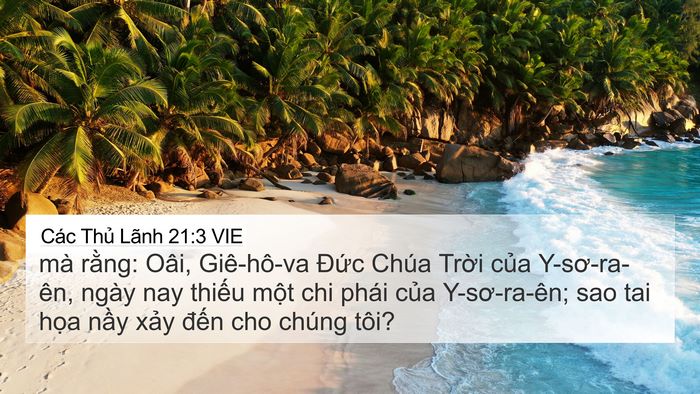 Các Thủ Lãnh 21:3 VIE Bible Verse Image