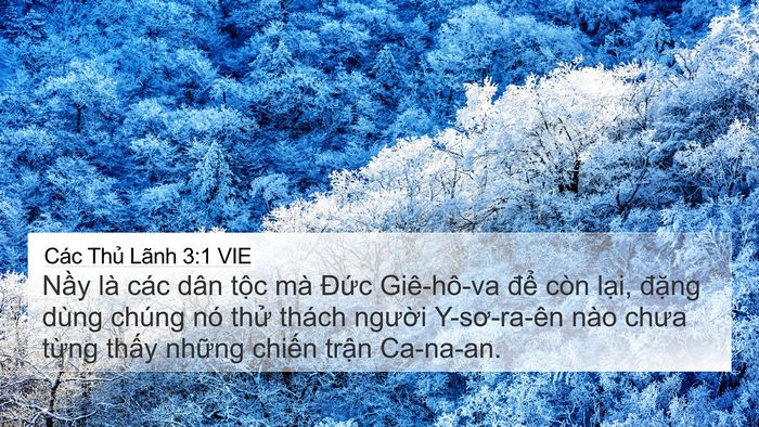 Các Thủ Lãnh 3:1 VIE Bible Verse Image