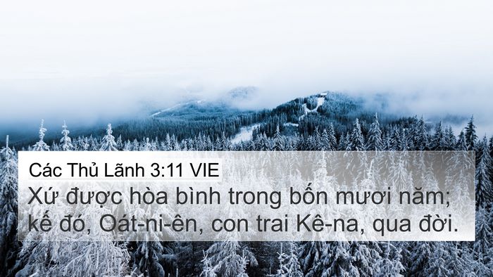 Các Thủ Lãnh 3:11 VIE Bible Verse Image