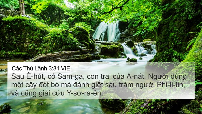 Các Thủ Lãnh 3:31 VIE Bible Verse Image