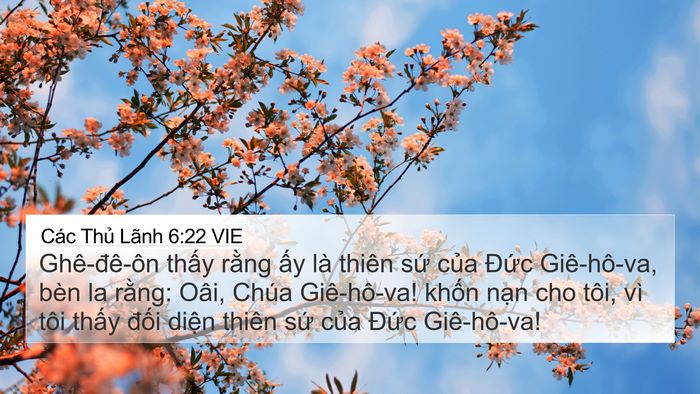 Các Thủ Lãnh 6:22 VIE Bible Verse Image