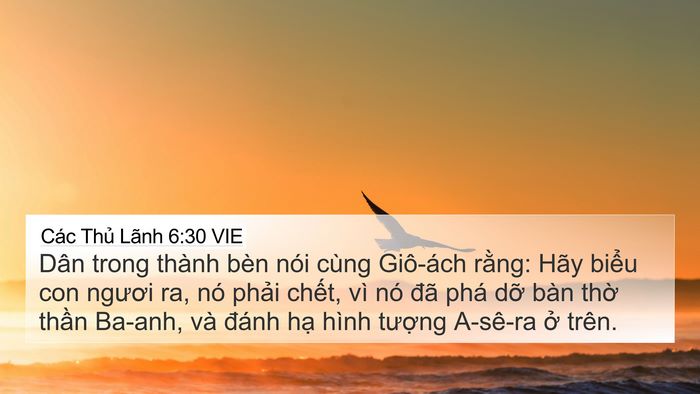Các Thủ Lãnh 6:30 VIE 4K Wallpaper - Dân trong thành bèn nói cùng Giô-ách - 4K Wallpaper Bible Verse