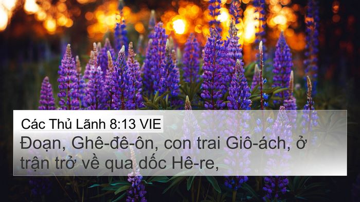 Các Thủ Lãnh 8:13 VIE 4K Wallpaper - Đoạn, Ghê-đê-ôn, con trai Giô-ách, ở - 4K Wallpaper Bible Verse