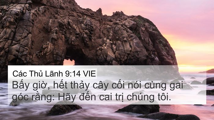 Các Thủ Lãnh 9:14 VIE Bible Verse Image