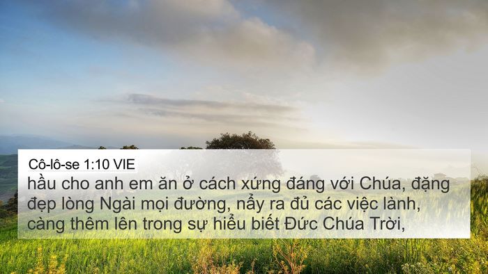 Cô-lô-se 1:10 VIE Bible Verse Image