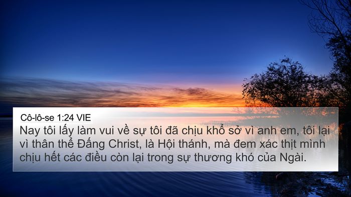 Cô-lô-se 1:24 VIE Bible Verse Image