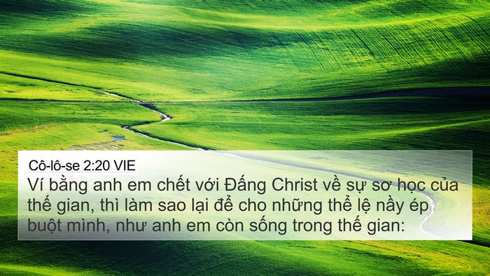 Cô-lô-se 2:20 VIE Bible Verse Image