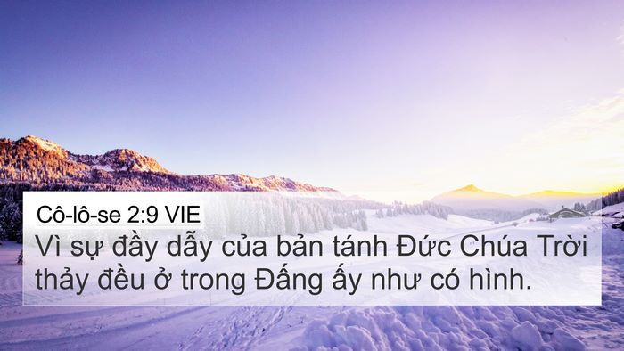 Cô-lô-se 2:9 VIE Bible Verse Image