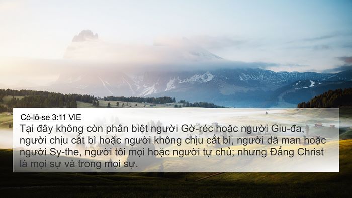 Cô-lô-se 3:11 VIE Bible Verse Image