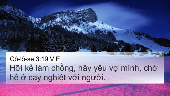 Cô-lô-se 3:19 VIE Bible Verse Image