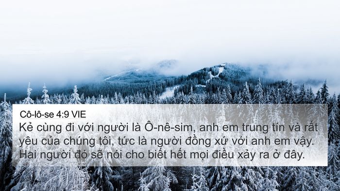 Cô-lô-se 4:9 VIE Bible Verse Image