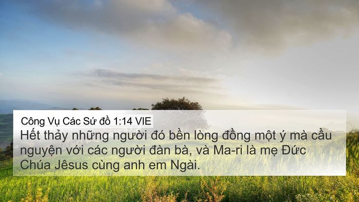 Công Vụ Các Sứ đồ 1:14 VIE Bible Verse Image