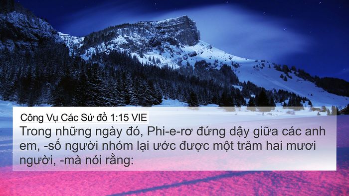 Công Vụ Các Sứ đồ 1:15 VIE Bible Verse Image