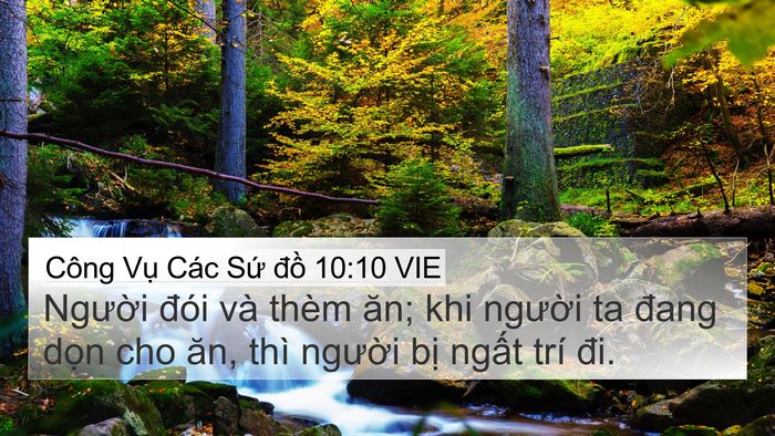Công Vụ Các Sứ đồ 10:10 VIE Bible Verse Image