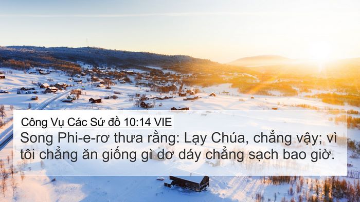 Công Vụ Các Sứ đồ 10:14 VIE Bible Verse Image
