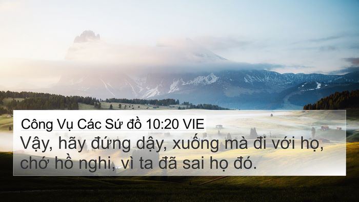 Công Vụ Các Sứ đồ 10:20 VIE Bible Verse Image