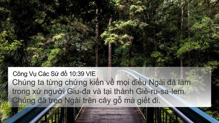Công Vụ Các Sứ đồ 10:39 VIE Bible Verse Image