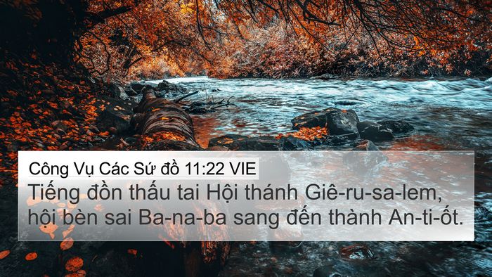 Công Vụ Các Sứ đồ 11:22 VIE Bible Verse Image