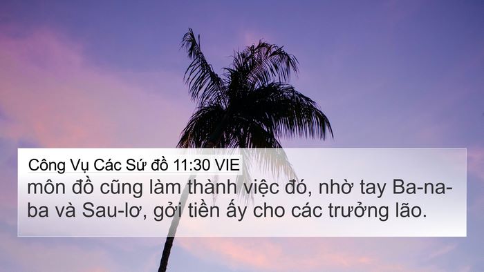 Công Vụ Các Sứ đồ 11:30 VIE Bible Verse Image
