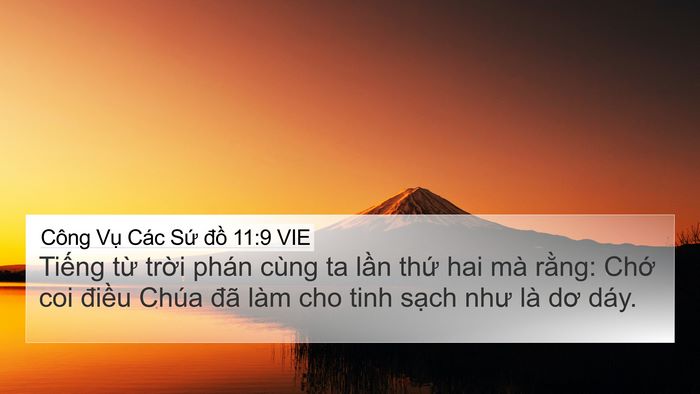 Công Vụ Các Sứ đồ 11:9 VIE Bible Verse Image