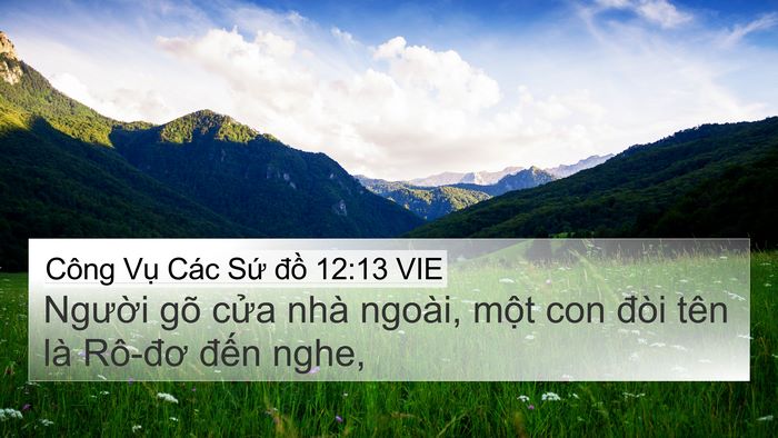 Công Vụ Các Sứ đồ 12:13 VIE Bible Verse Image