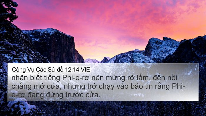 Công Vụ Các Sứ đồ 12:14 VIE 4K Wallpaper - nhận biết tiếng Phi-e-rơ nên mừng rỡ - 4K Wallpaper Bible Verse