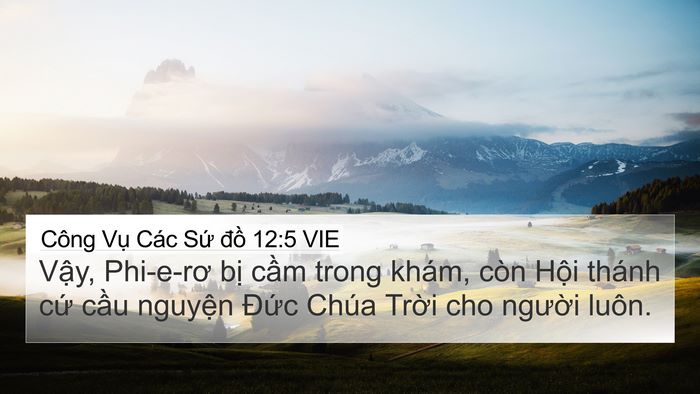Công Vụ Các Sứ đồ 12:5 VIE Bible Verse Image