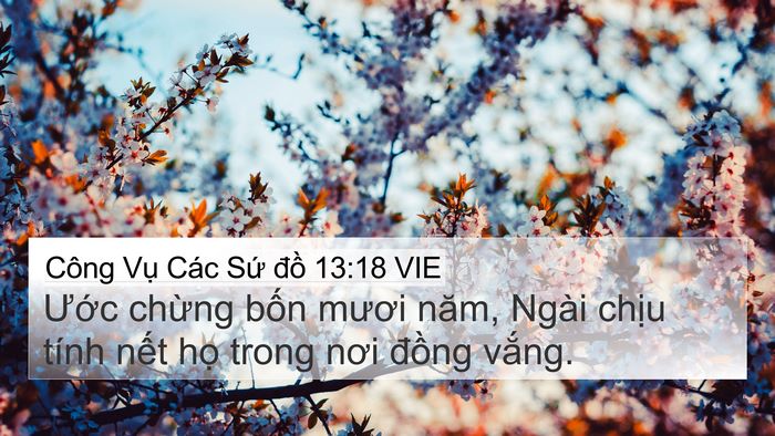 Công Vụ Các Sứ đồ 13:18 VIE Bible Verse Image
