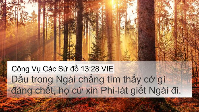 Công Vụ Các Sứ đồ 13:28 VIE Bible Verse Image