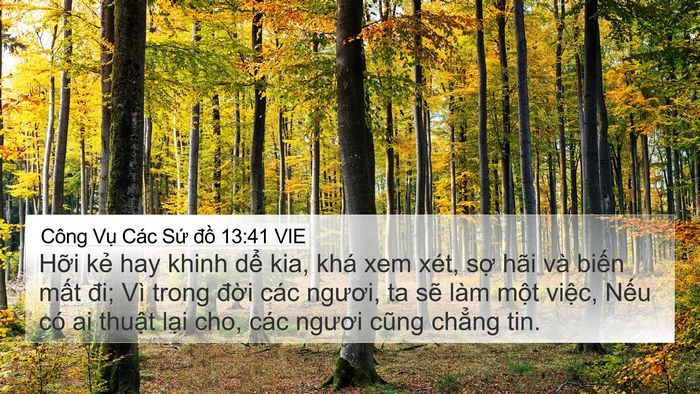 Công Vụ Các Sứ đồ 13:41 VIE Bible Verse Image
