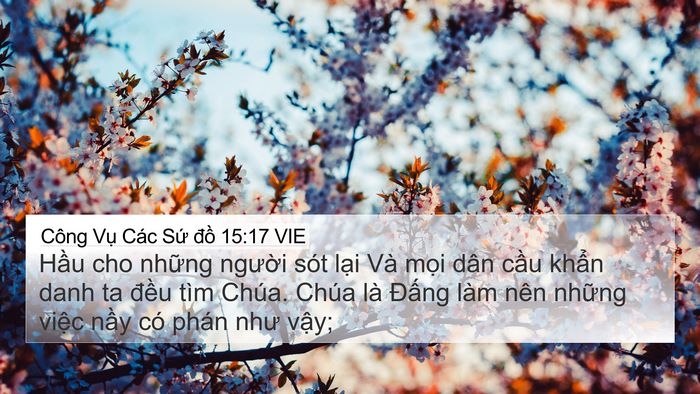 Công Vụ Các Sứ đồ 15:17 VIE Bible Verse Image