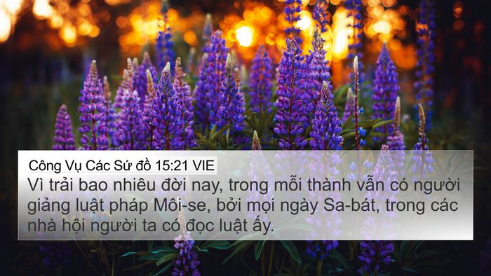 Công Vụ Các Sứ đồ 15:21 VIE Bible Verse Image