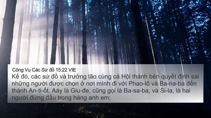 Công Vụ Các Sứ đồ 15:22 VIE Bible Verse Image