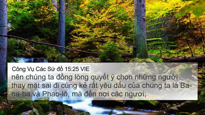 Công Vụ Các Sứ đồ 15:25 VIE Bible Verse Image