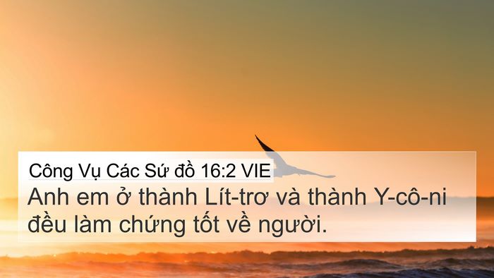 Công Vụ Các Sứ đồ 16:2 VIE 4K Wallpaper - Anh em ở thành Lít-trơ và thành Y-cô-ni - 4K Wallpaper Bible Verse
