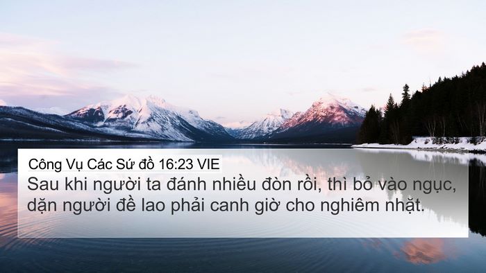Công Vụ Các Sứ đồ 16:23 VIE Bible Verse Image
