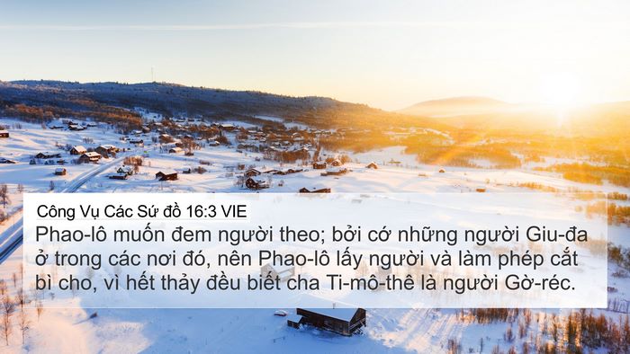 Công Vụ Các Sứ đồ 16:3 VIE Bible Verse Image
