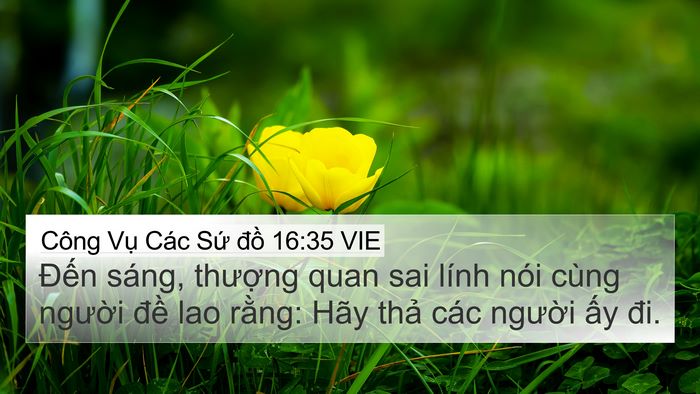 Công Vụ Các Sứ đồ 16:35 VIE Bible Verse Image