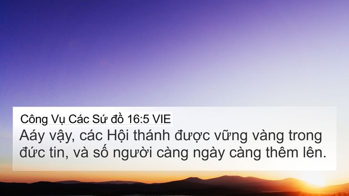 Công Vụ Các Sứ đồ 16:5 VIE Bible Verse Image