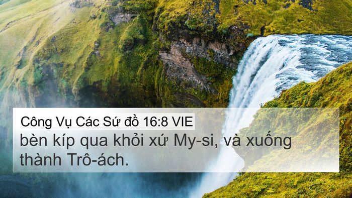 Công Vụ Các Sứ đồ 16:8 VIE Bible Verse Image